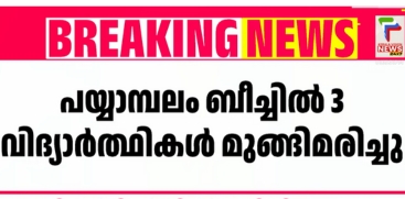 Three Medical Students Drown After Entering Sea for Bath