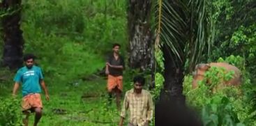 youth provokes Wild Elephant in Thrissur