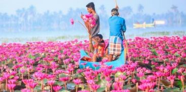 Malarikkal