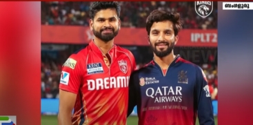 cricket