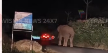 Padayappa Damages Vehicles