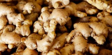 Increasing Ginger Rate In market 