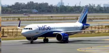 indigo