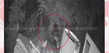 Bear Enters Residential Area in Kumily Chottupara