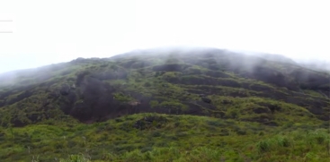  Neelakurinji Flowers Start Blooming in Munnar's Western Ghats