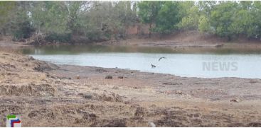 Vadukunda Lake in Madaipara is a wonder of nature that does not dry up even in hot summer