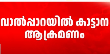 Wild Elephant Attack in Valparai