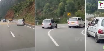 Driver's license revoked for dangerous driving on Idukki Gap Road