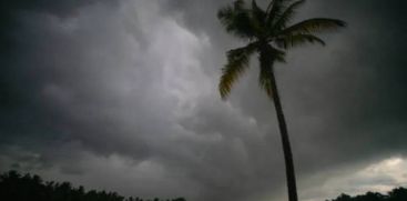 rain alert