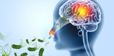 Amoebic Meningoencephalitis: Kerala Health Department Issues High Alert in Kozhikode
