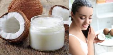 Coconut milk to prevent hair loss; Coconut milk and its benefits