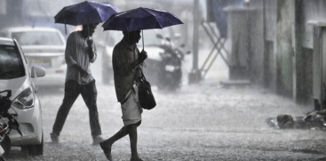 rain