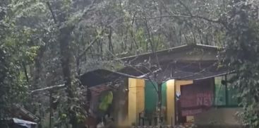 Forest disturbance is severe in Mankulam Kavitakad area