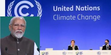 COP33