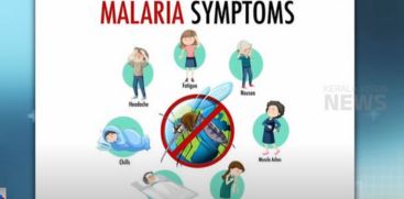 Beware... Malaria is dangerous; Symptoms and prevention methods