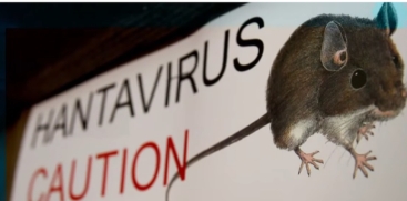 Hantavirus Health Alert