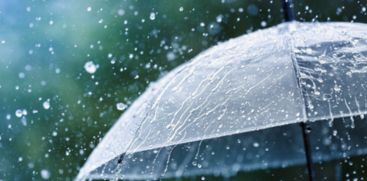 rain alert