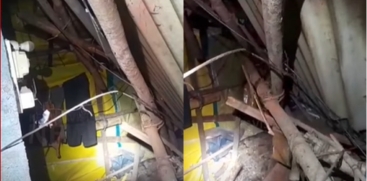 Wild Elephants Damage House
