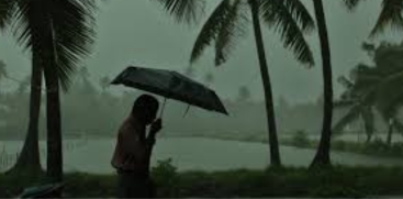 Rain