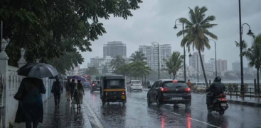 Heavy Rain