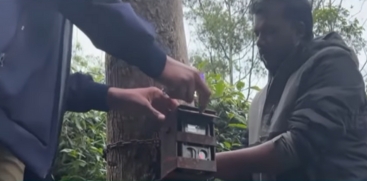 Tiger Presence in Munnar