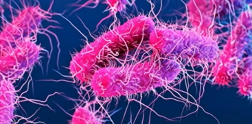 Shigella Outbreak in Kerala