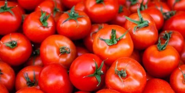 Tomato Prices Will Slash Down In Upcoming 15 Days