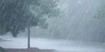 Heavy rain