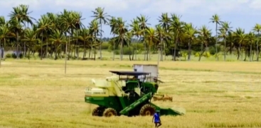 Kerala Relies on Tamil Nadu for Vegetables, Flowers, and Feast Supplies