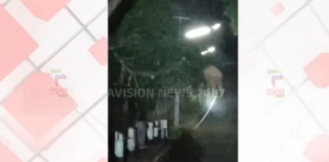 Wild Elephant Attacks Locals in Athirappilly