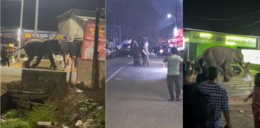 MANISHERI KOCHAYYAPPAN