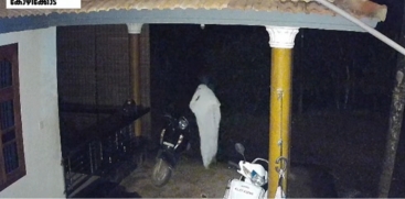  Reported Night-time Trespassing