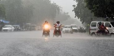 rain alert