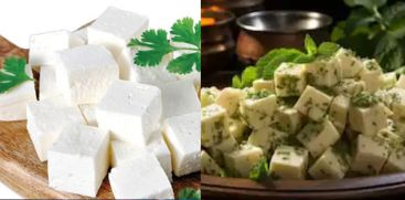 paneer