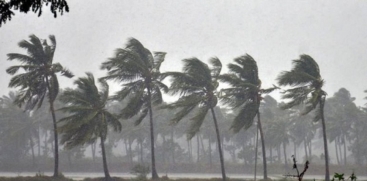 rain