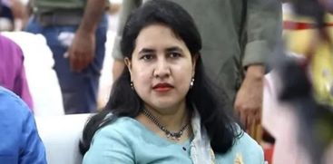 veena