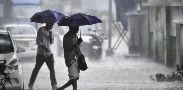 rain
