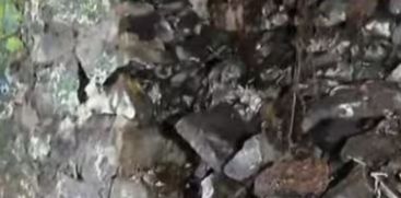 compound wall 