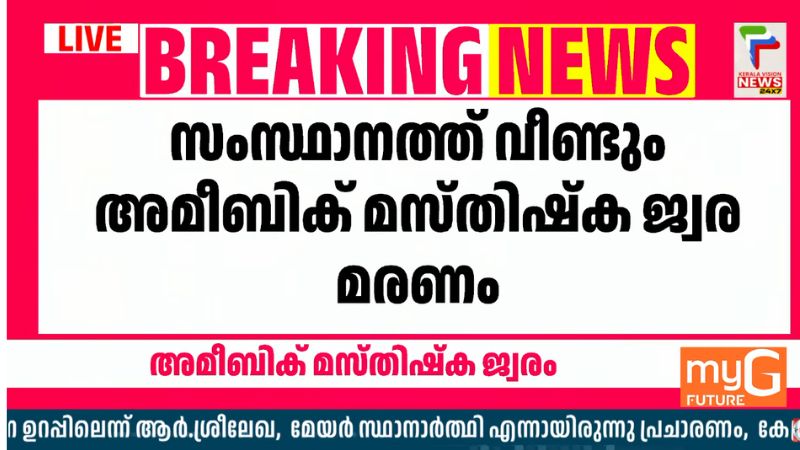 amoebic-encephalitis