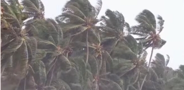 Kerala Weather Alert
