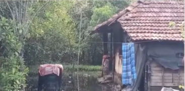 Post-Mortem Report Released in Thuravoor Incident