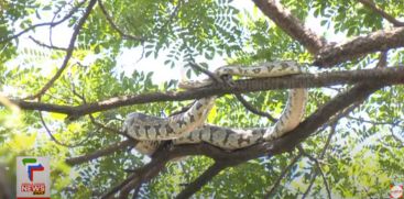 PYTHON
