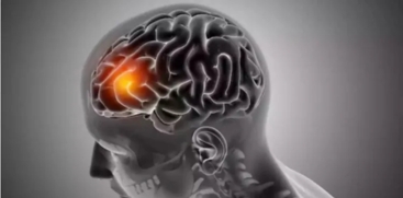 11-Year-Old Girl in Kerala Diagnosed with Brain-Eating Amoeba Infection