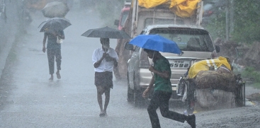 rain