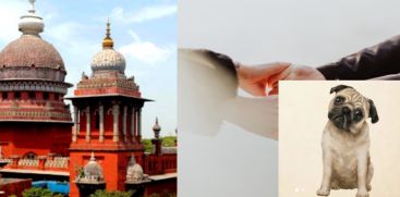 madras hc