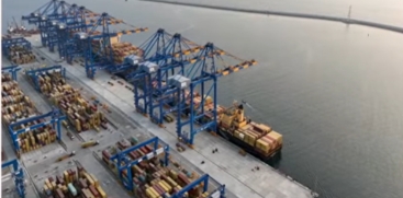 Vizhinjam Port Share Transfer