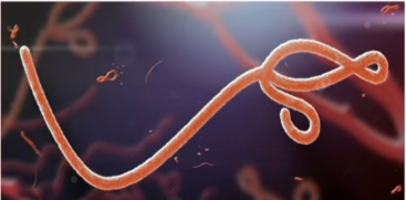 Ebola Outbreak