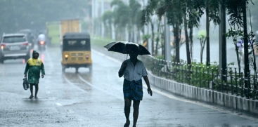 Rain