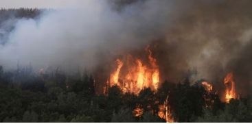 Large Wildfire Spreading Near Jerusalem; Control Efforts Ongoing