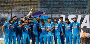 cricket